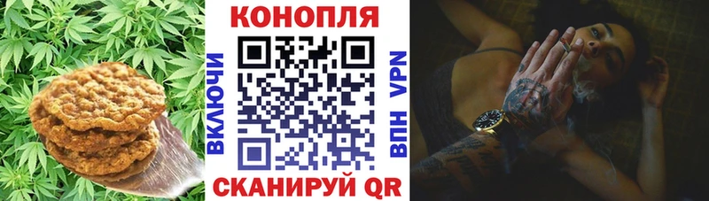 Canna-Cookies конопля  гидра ссылка  Долгопрудный 