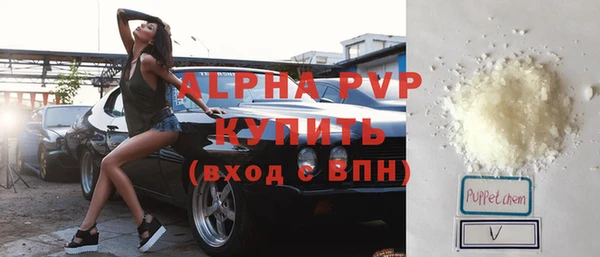прущие грибы Зеленодольск