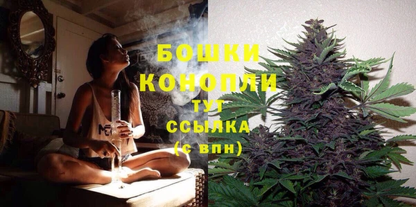 стаф Зерноград