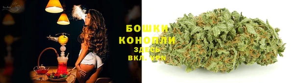 МДПВ Зеленокумск
