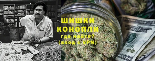 прущие грибы Зеленодольск