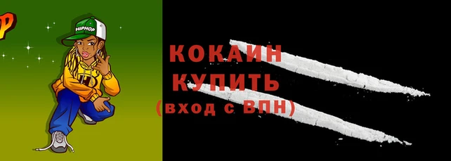 прущие грибы Зеленодольск