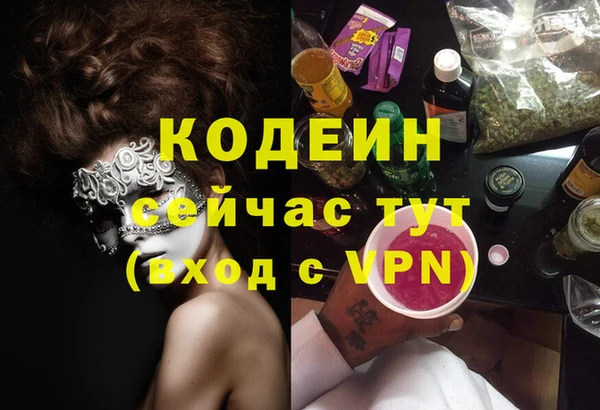 стаф Зерноград