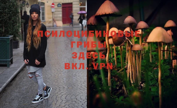 МДПВ Зеленокумск
