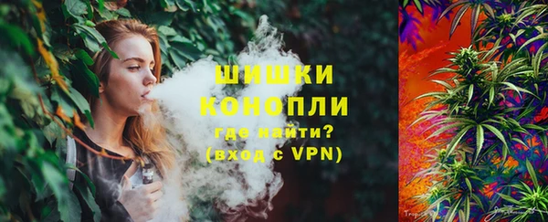 прущие грибы Зеленодольск