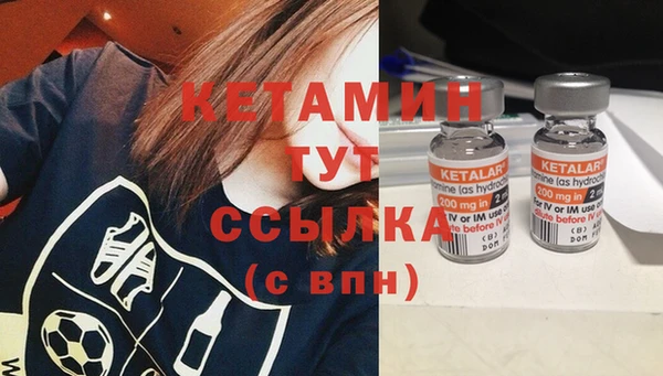 стаф Зерноград