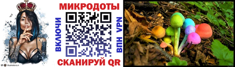 купить закладку  Долгопрудный  Псилоцибиновые грибы ЛСД 